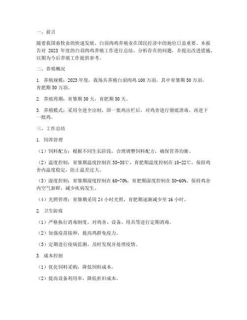 白羽肉鸡养殖工作总结报告