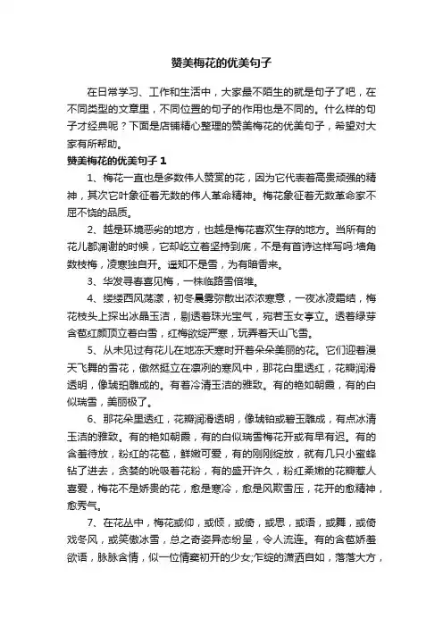 赞美梅花的优美句子