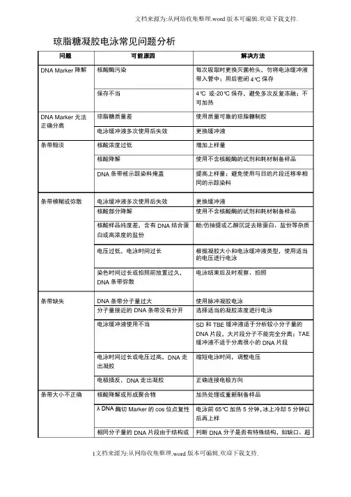 琼脂糖凝胶电泳常见问题分析
