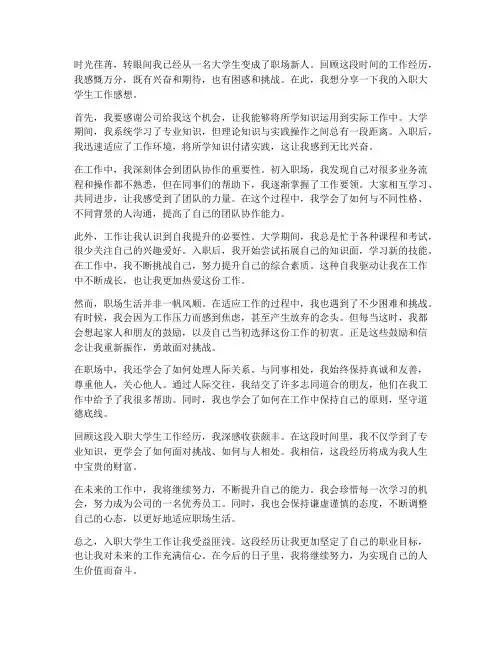 入职大学生工作感想