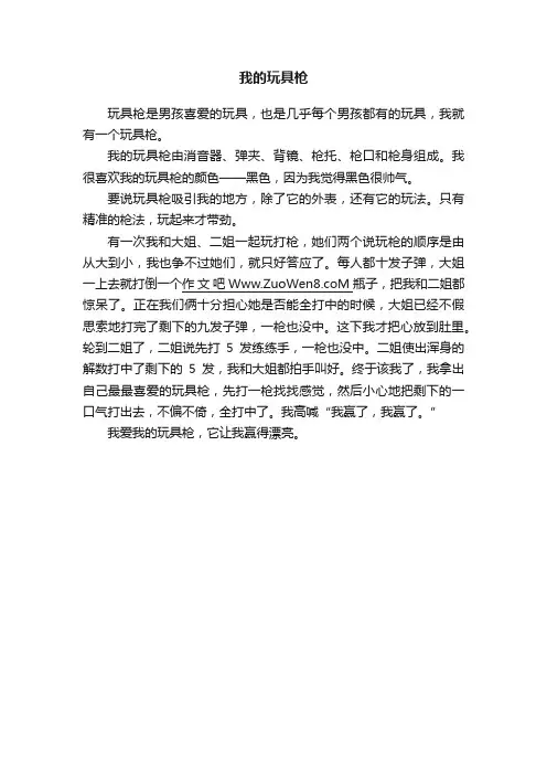 我的玩具枪