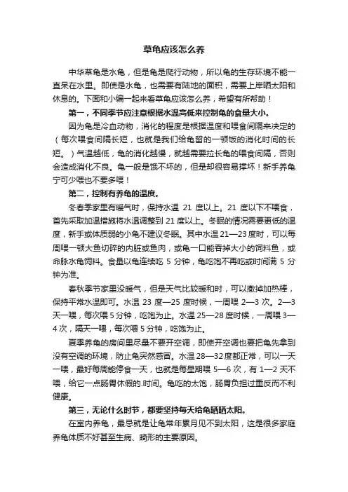 草龟应该怎么养