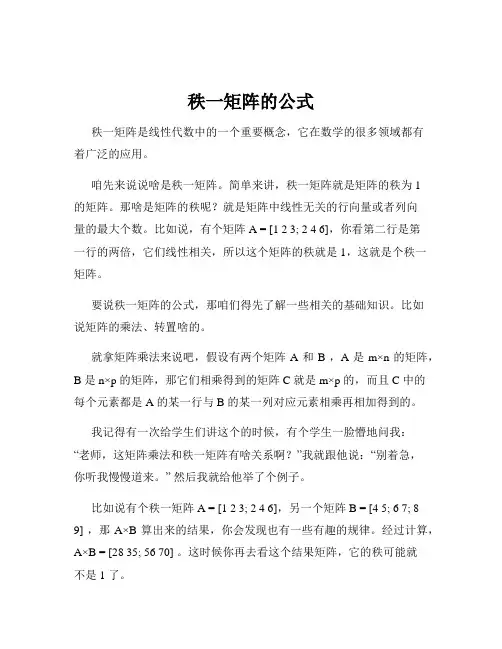 秩一矩阵的公式