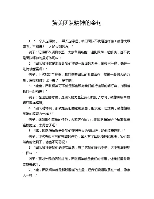 赞美团队精神的金句