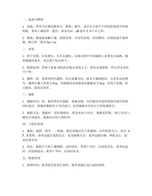 种植贵州大红袍花椒技术管理