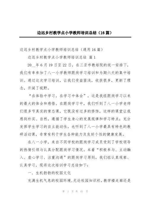 边远乡村教学点小学教师培训总结(16篇)