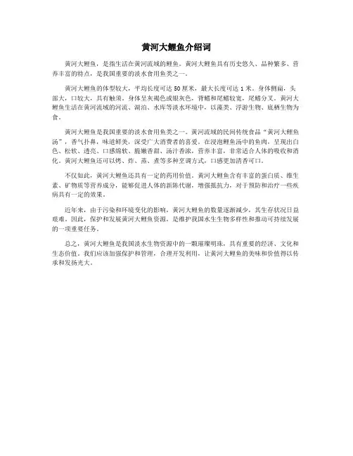 黄河大鲤鱼介绍词