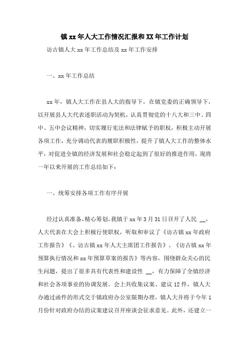 镇xx年人大工作情况汇报和XX年工作计划