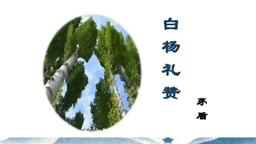 第15课《白杨礼赞》课件精品