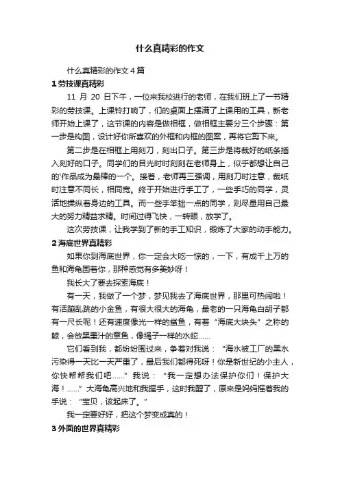 什么真精彩的作文