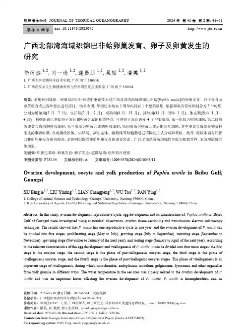 广西北部湾海域织锦巴非蛤卵巢发育、卵子及卵黄发生的研究