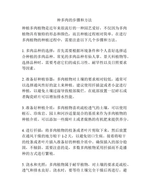 种多肉的步骤和方法