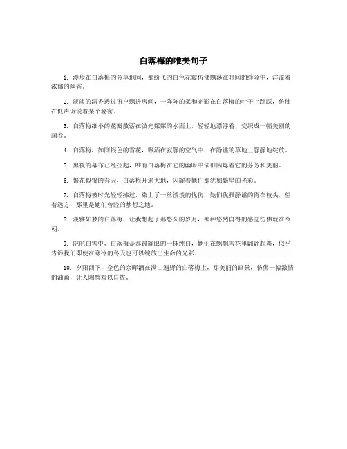 白落梅的唯美句子