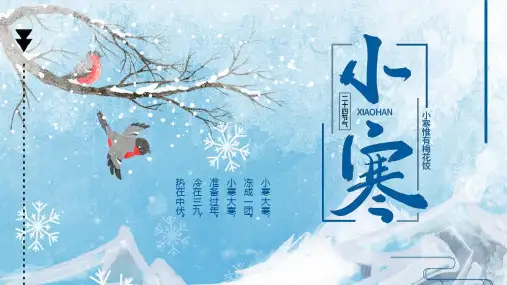 中国传统节日 二十四节气 小寒介绍 传统习俗 主题教育 培训宣传PPT