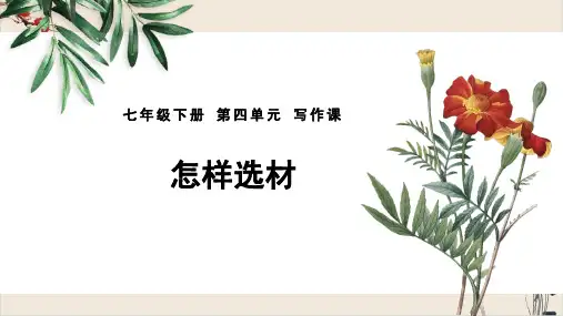 人教部编版七年级语文下册第四单元写作课《怎样选材》PPT课件(20张ppt页)