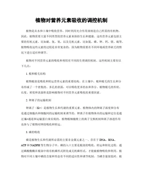 植物对营养元素吸收的调控机制