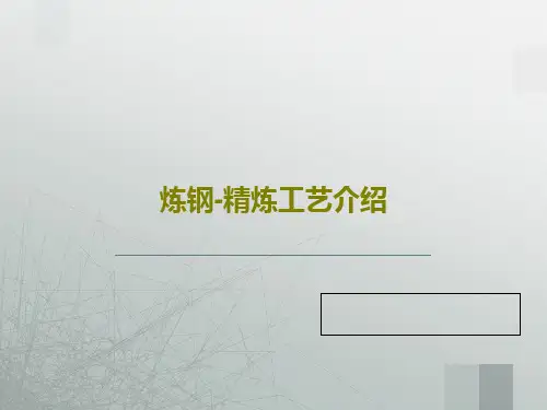 炼钢-精炼工艺介绍48页PPT