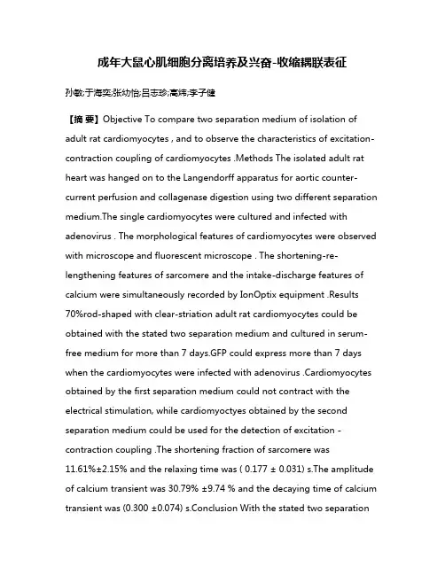 成年大鼠心肌细胞分离培养及兴奋-收缩耦联表征