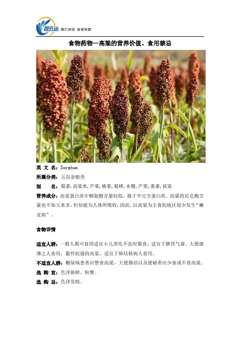 食物药物—高粱的营养价值、食用禁忌