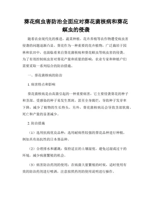 葵花病虫害防治全面应对葵花菌核病和葵花螟虫的侵袭