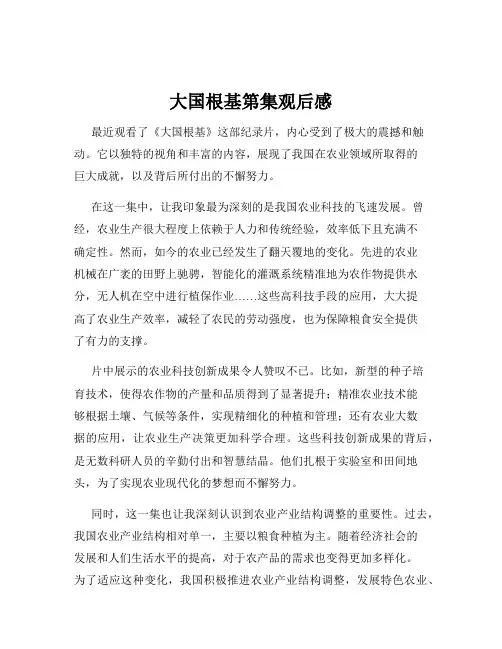大国根基第集观后感