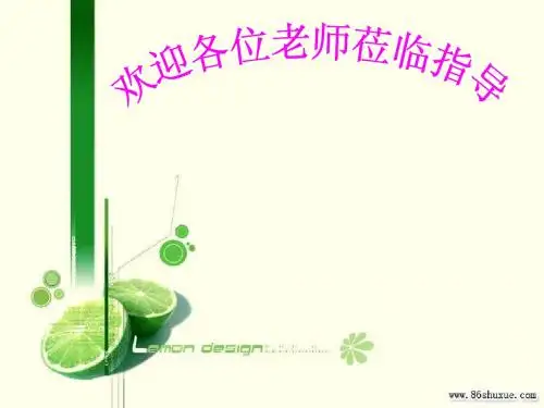课件1同类项(公开课)