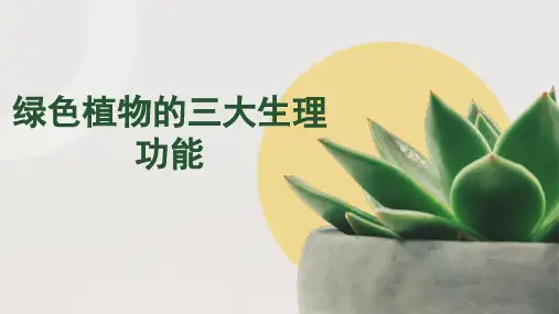 第三单元植物三大生理作用复习课件2023-2024学年人教版生物七年级上册