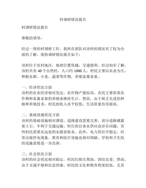 村调研情况报告
