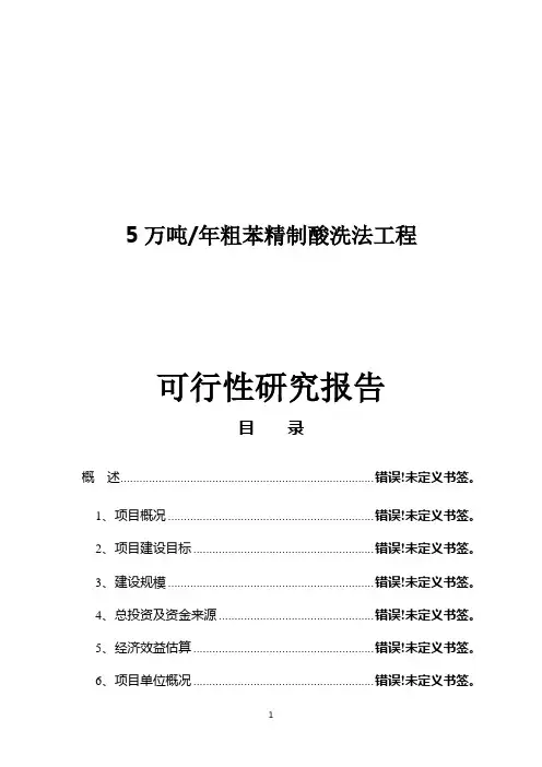 粗苯精制酸洗法工程可行性研究报告