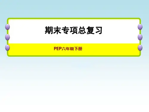 人教PEP版六年级英语下册期末及小升初总复习 题型专项 阅读理解专项(一)