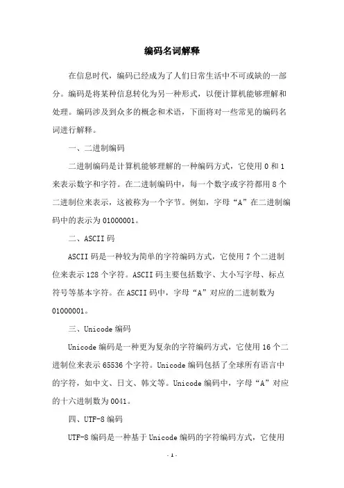 编码名词解释