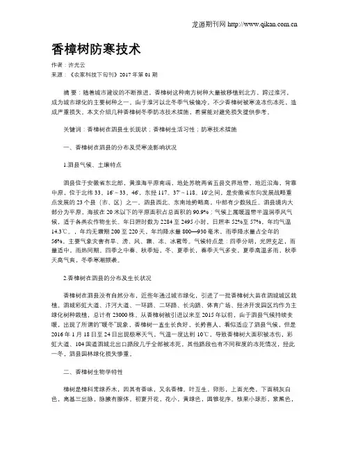香樟树防寒技术