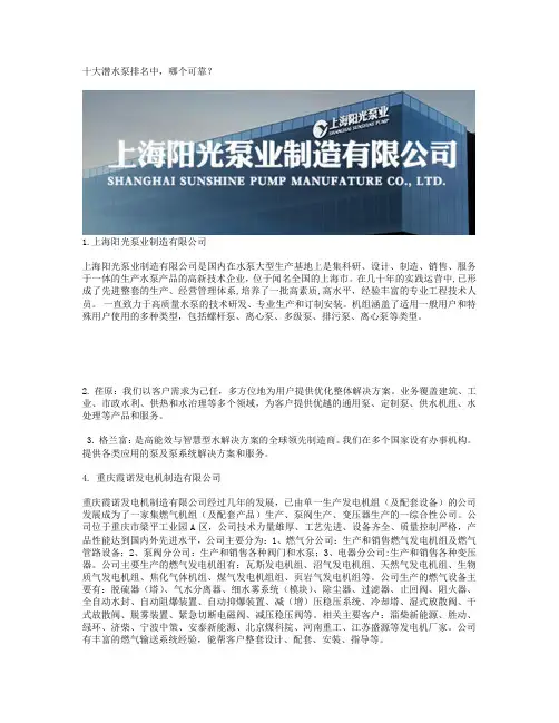 十大潜水泵排名中,哪个可靠？