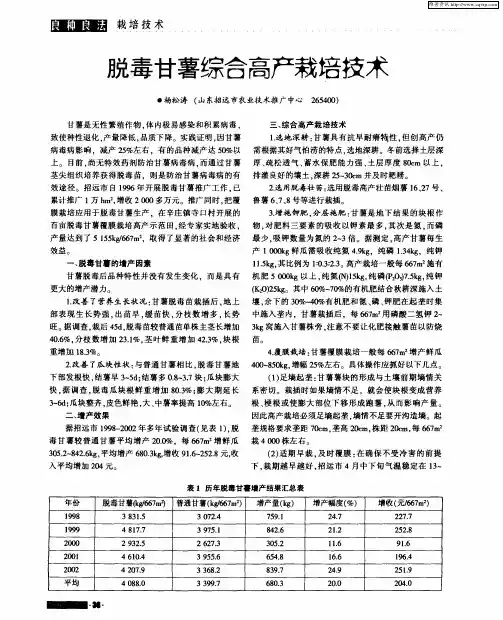 脱毒甘薯综合高产栽培技术