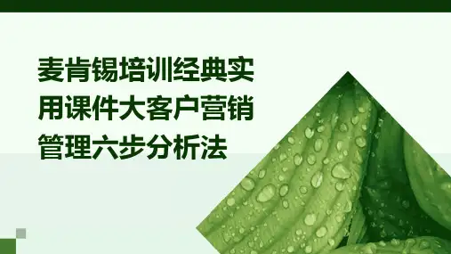 麦肯锡培训经典实用课件：大客户营销管理六步分析法