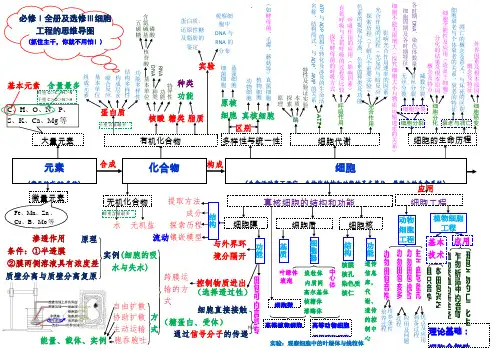生物必修一物质基础与细胞思维导图