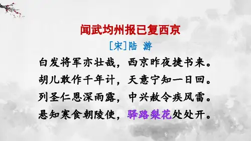 《驿路梨花》ppt课件