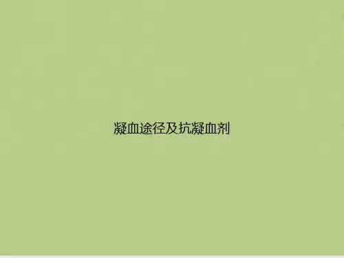 凝血途径及抗凝血剂
