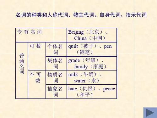 名词的种类和人称代词、物主代词