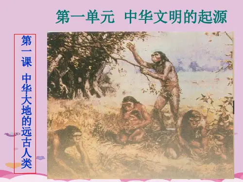 中华大地的远古人类ppt20 北师大版