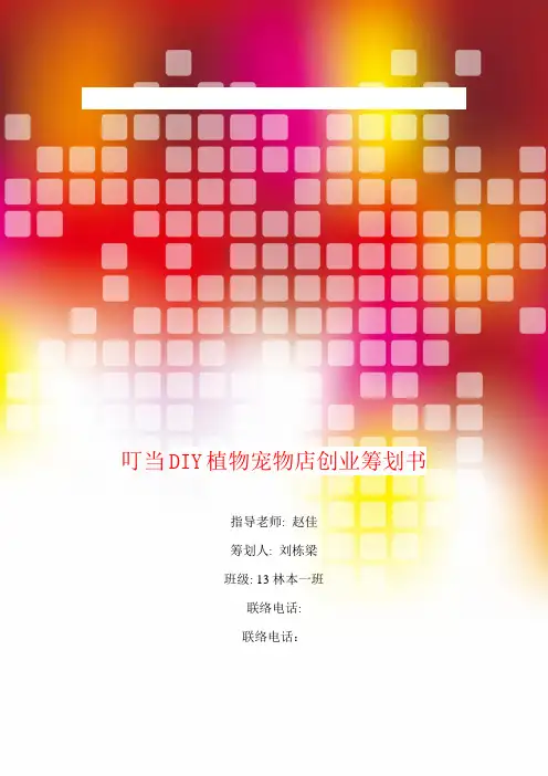 叮当DIY植物宠物店创业策划