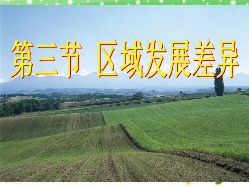 区域发展差异_ppt