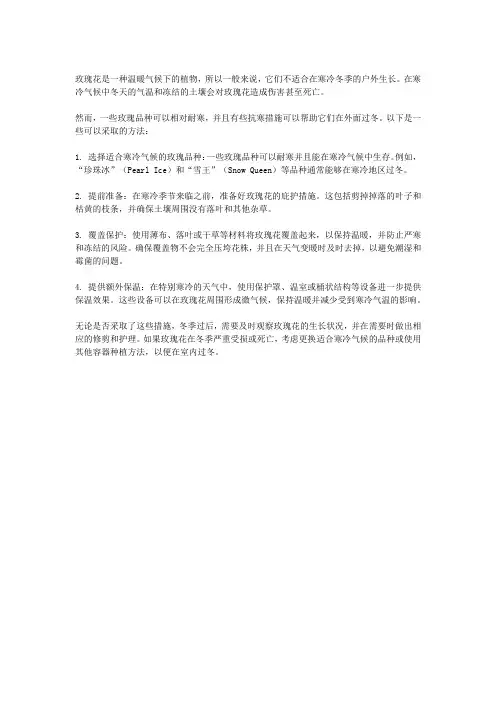 玫瑰花冬天在外面能过冬吗