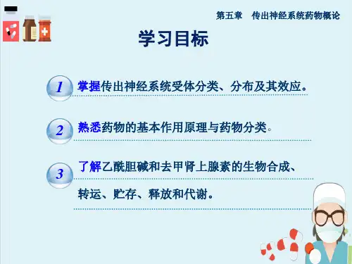 传出神经系统药物的作用及分类(药理学)