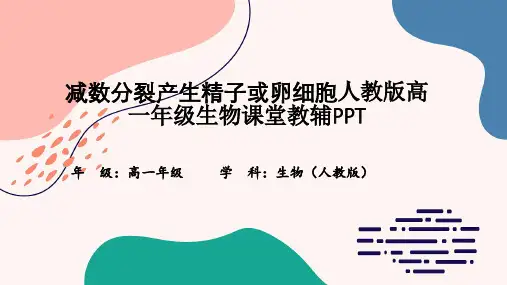 减数分裂产生精子或卵细胞人教版高一年级生物课堂教辅PPT