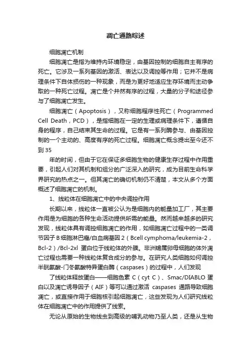 凋亡通路综述