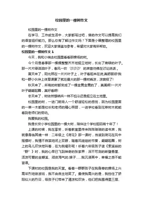 校园里的一棵树作文
