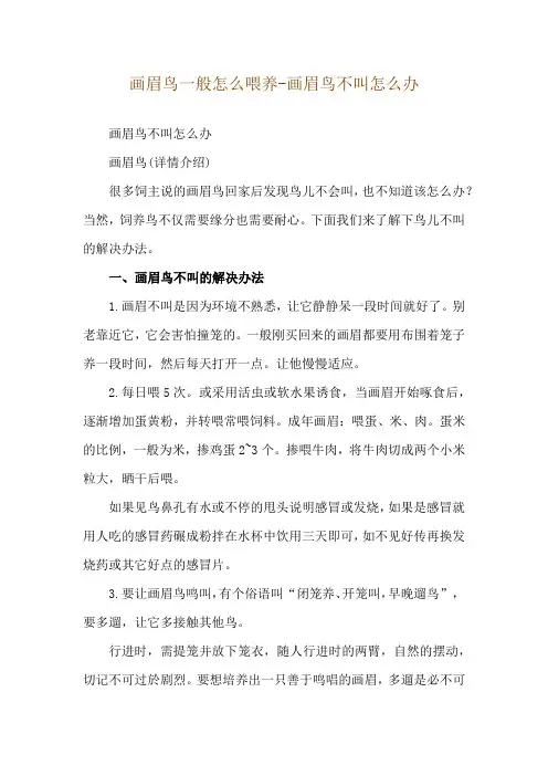 画眉鸟一般怎么喂养-画眉鸟不叫怎么办
