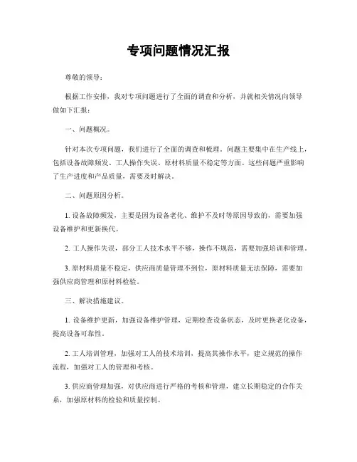 专项问题情况汇报