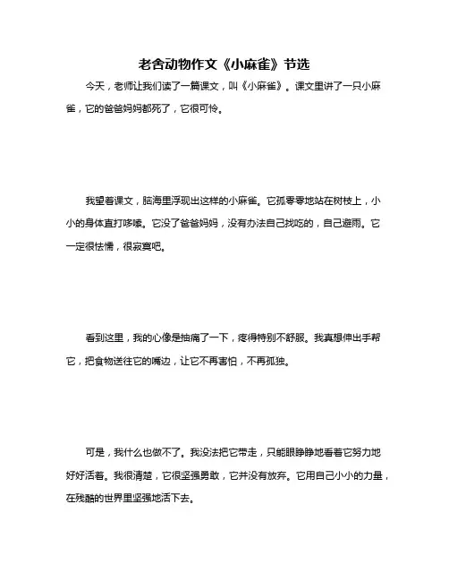 老舍动物作文《小麻雀》节选